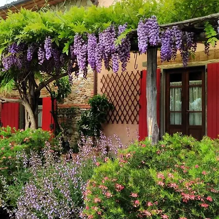 La Corte Del Falco Holiday home