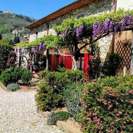 Holiday home La Corte Del Falco Pieve a Nievole
